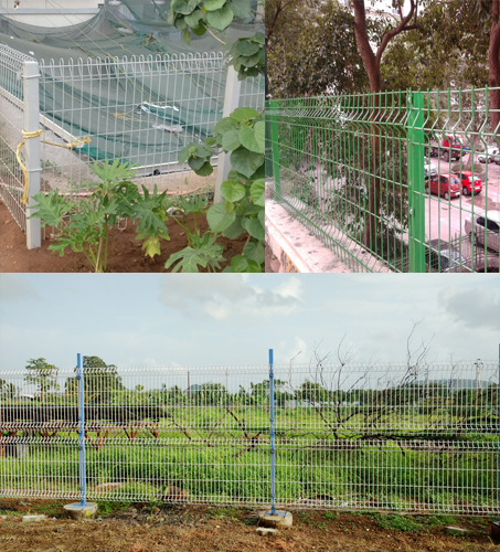 Welded Wire Fencing